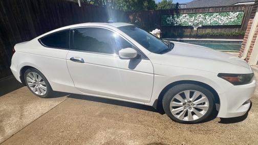 White 2009 Honda Accord EX-L