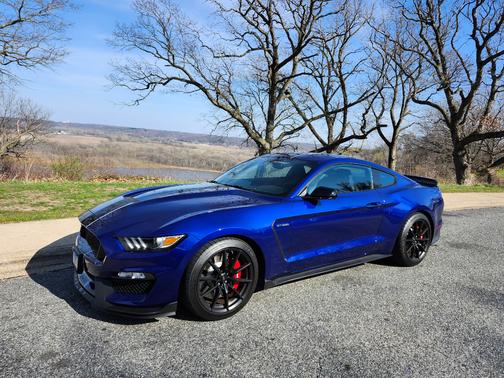 Blue 2016 Ford Shelby GT350 Base