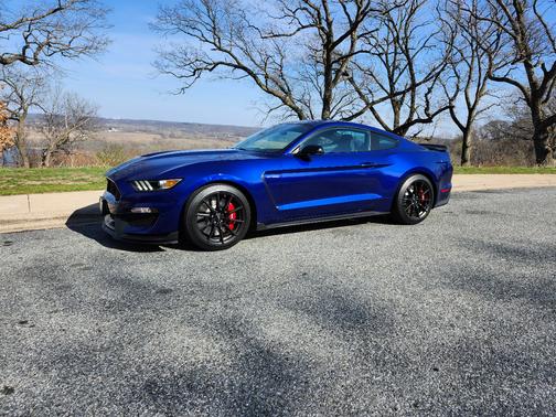 Blue 2016 Ford Shelby GT350 Base