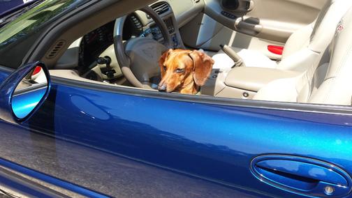 2004 Chevrolet Corvette Base