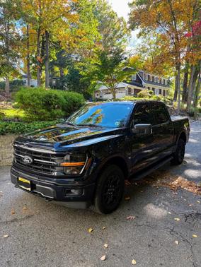 Blue 2025 Ford F-150 XLT