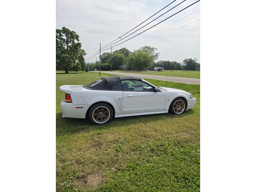 2001 Ford Mustang SVT Cobra