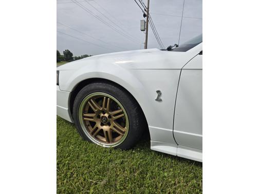 2001 Ford Mustang SVT Cobra