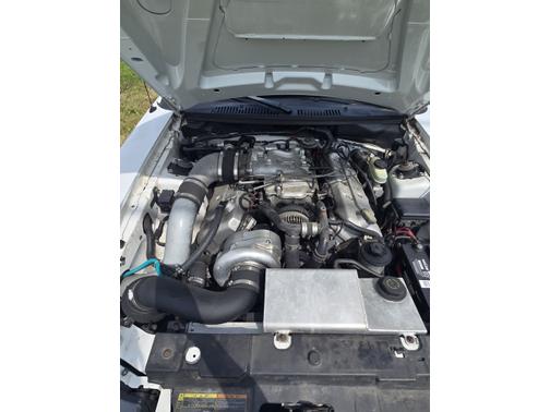 2001 Ford Mustang SVT Cobra