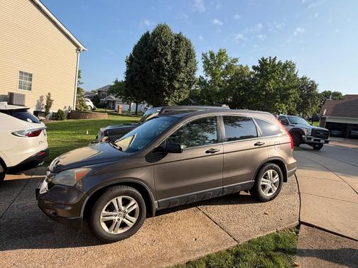 Beige 2010 Honda CR-V EX