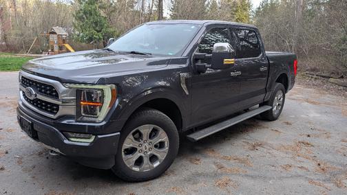 Gray 2021 Ford F-150 Platinum