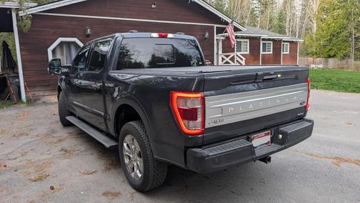 Gray 2021 Ford F-150 Platinum