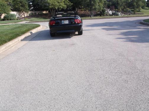 Black 2001 Ford Mustang GT