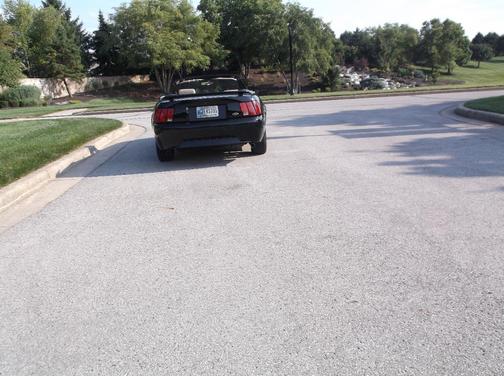 Black 2001 Ford Mustang GT