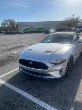 Silver 2019 Ford Mustang EcoBoost