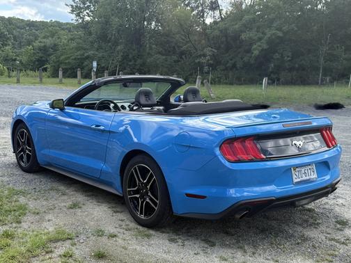 Blue 2023 Ford Mustang EcoBoost Premium