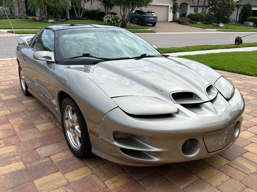 Gray 2002 Pontiac Firebird Trans Am
