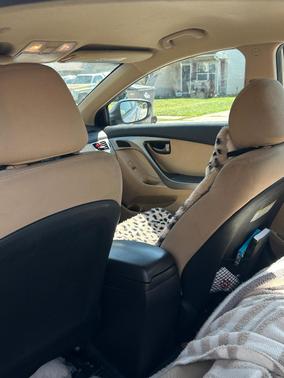 Gold 2013 Hyundai ELANTRA GLS