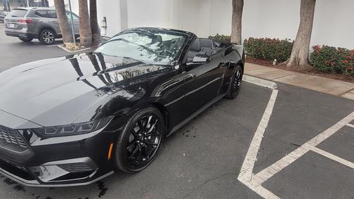 2025 Ford Mustang EcoBoost