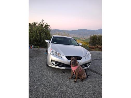 Gray 2011 Hyundai Genesis Coupe 3.8 Grand Touring