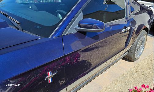 2010 Ford Mustang Base