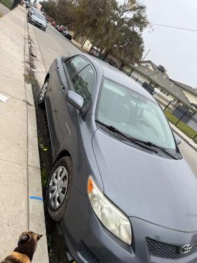 2010 Toyota Corolla S