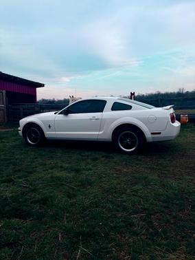 White 2006 Ford Mustang Base