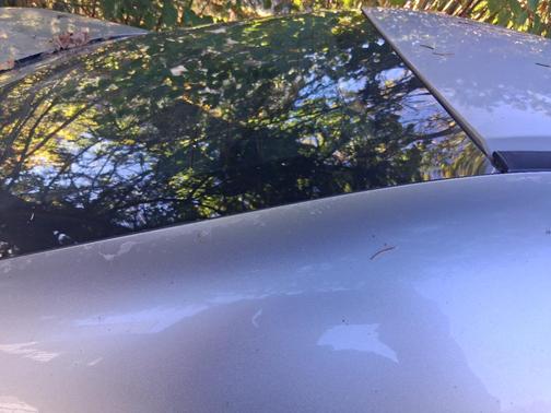 Gray 2006 Honda Accord EX