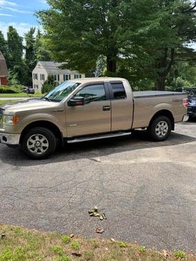 Gold 2013 Ford F-150 XLT