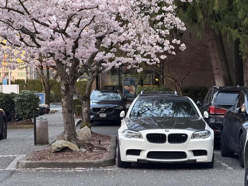 White 2014 BMW M5 Base