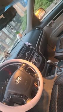 2008 Hyundai SANTA FE SE