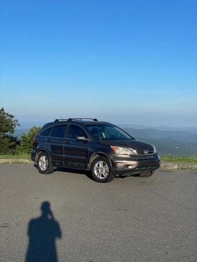 Beige 2010 Honda CR-V EX-L