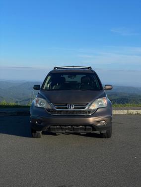 Beige 2010 Honda CR-V EX-L