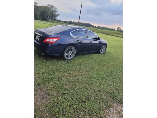 2010 Nissan Maxima SV