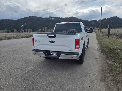 White 2015 Ford F-150 XLT