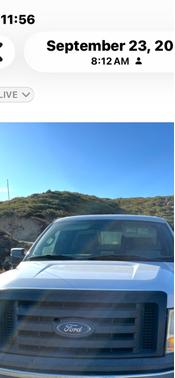 Beige 2010 Ford F-150 XL