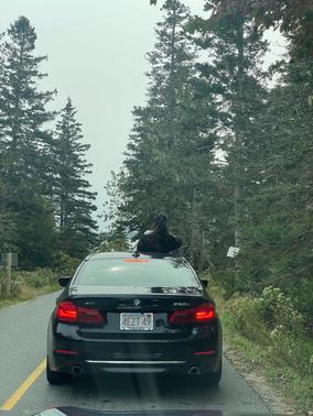 2020 BMW 530e xDrive iPerformance