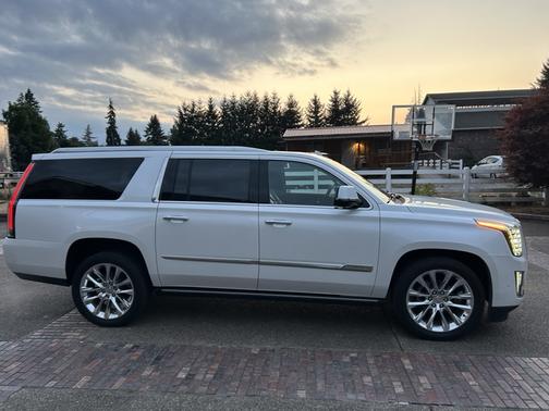 2019 Cadillac Escalade ESV Platinum