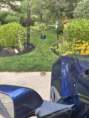 Blue 2022 Tesla Model Y Performance