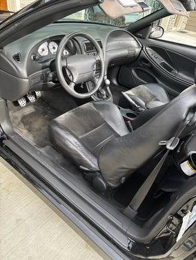 Black 2004 Ford Mustang SVT Cobra