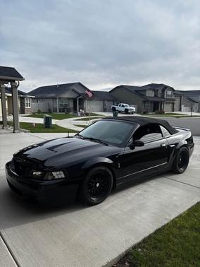 Black 2004 Ford Mustang SVT Cobra