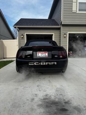 Black 2004 Ford Mustang SVT Cobra