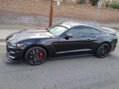 2019 Ford Shelby GT350 Base