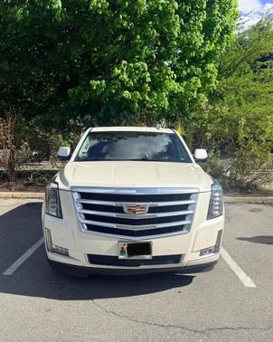 White 2015 Cadillac Escalade Premium