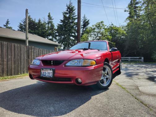 1998 Ford Mustang SVT Cobra