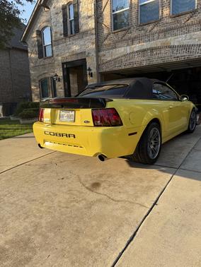 Yellow 2001 Ford Mustang SVT Cobra