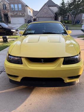 Yellow 2001 Ford Mustang SVT Cobra