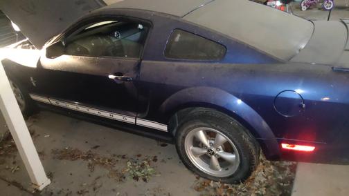 Photo 4 of 10 of 2007 Ford Mustang Base