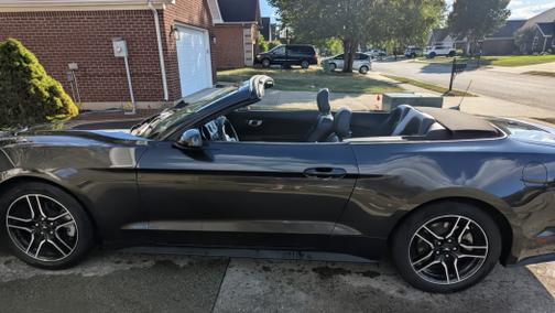 2022 Ford Mustang EcoBoost