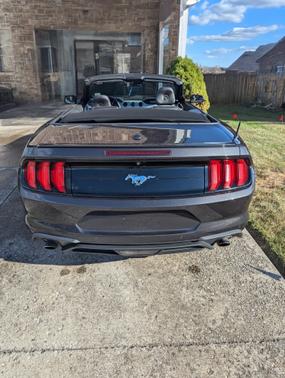 2022 Ford Mustang EcoBoost
