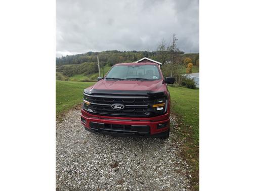 Red 2025 Ford F-150 XLT