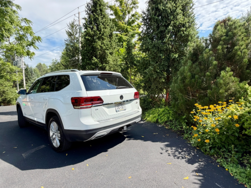 White 2019 Volkswagen Atlas 3.6L SE w/Technology