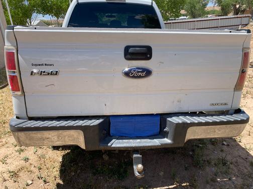 White 2014 Ford F-150 XL