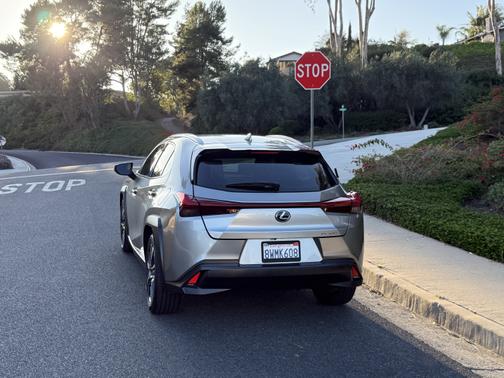 2019 Lexus UX 200 Luxury