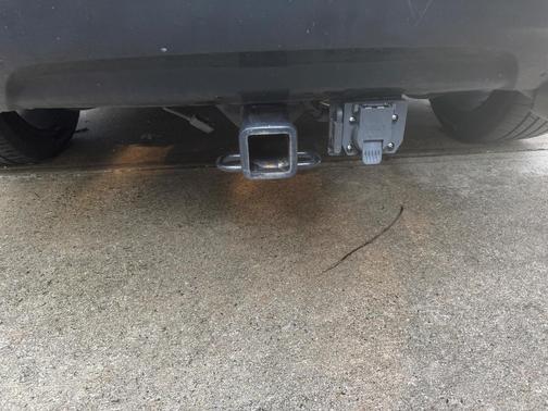 Black 2019 Ford Escape SE